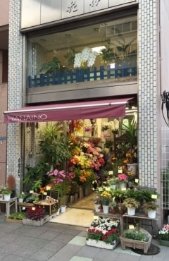「花伊之」　（東京都中央区）の花屋店舗写真1